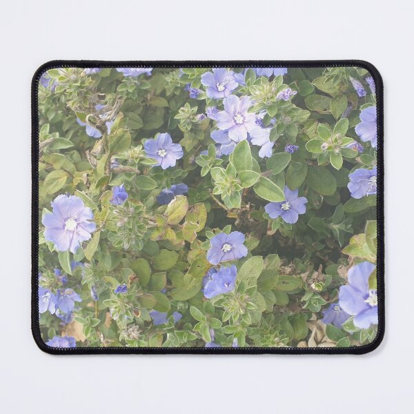 Item preview, Australian Blue Wild Flowers in Garden designed and sold by Bennymp.