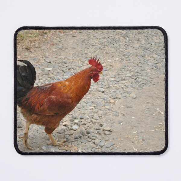 Item preview, Rooster in Panama designed and sold by FindYouByZ.