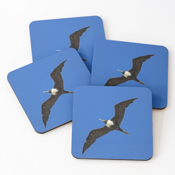 Item preview, A Female Magnificent Frigatebird III  designed and sold by Michiale.