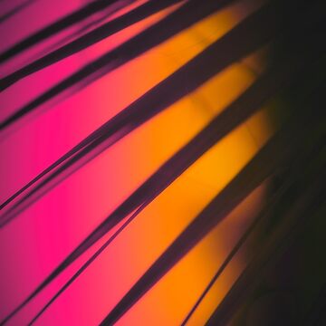 Artwork thumbnail, Texture colour by Zachlogic