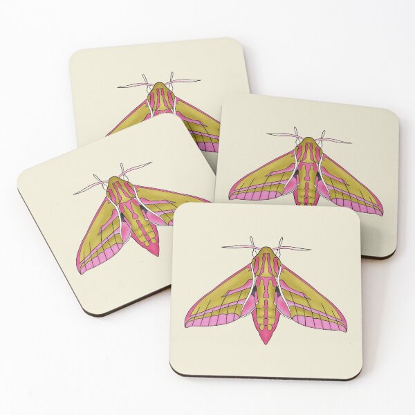 Item preview, Elephant hawk moth illustration designed and sold by Milanicole.