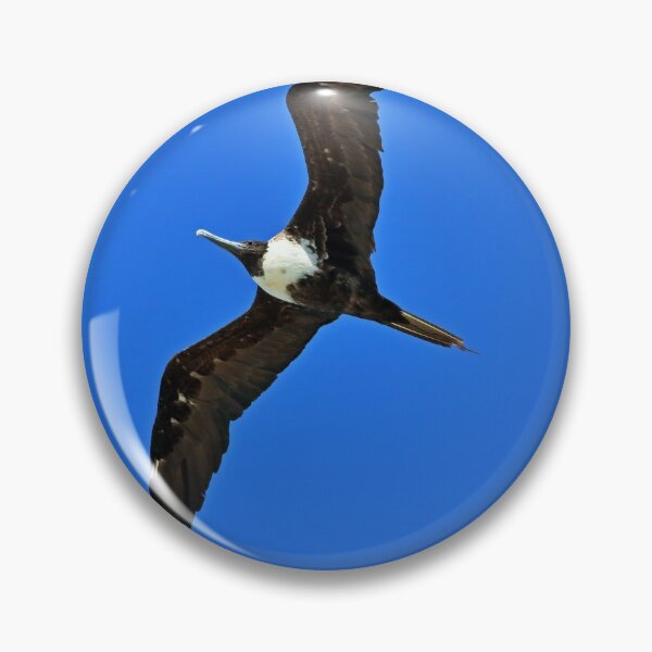 Item preview, A Female Magnificent Frigatebird II designed and sold by Michiale.
