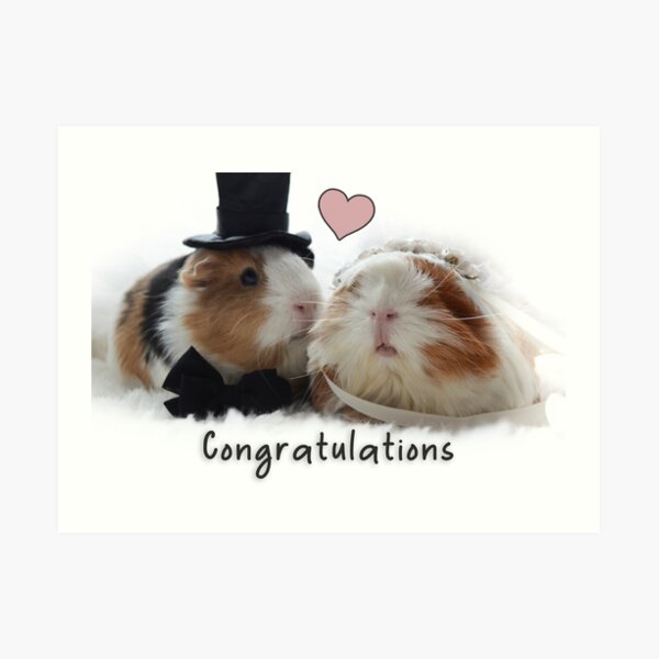 Guinea pig deals wedding card