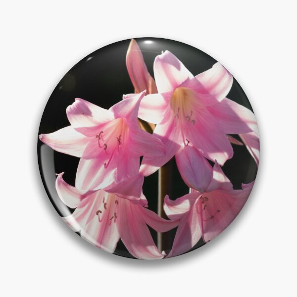 Item preview, Pink Lilies. designed and sold by GingerMan2550.
