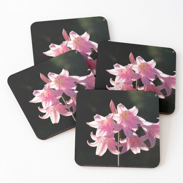 Item preview, Pink Lilies. designed and sold by GingerMan2550.