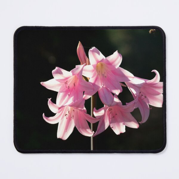 Item preview, Pink Lilies. designed and sold by GingerMan2550.