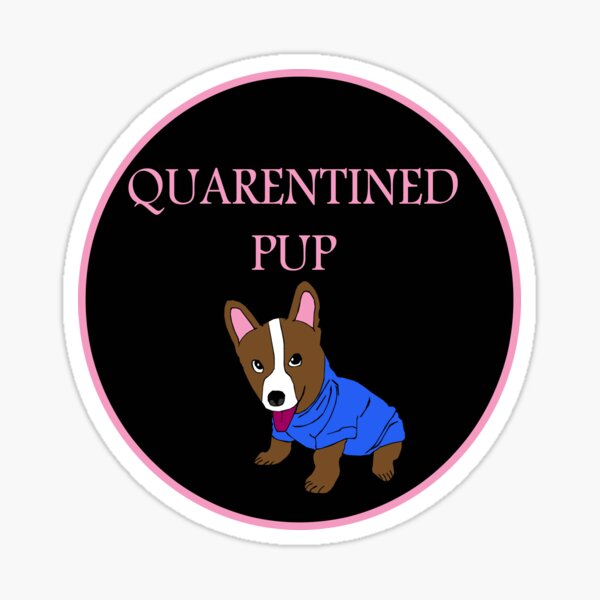Quarantined pup Sticker