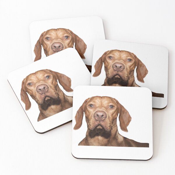 Artikelvorschau, Vizsla-Aufkleber entworfen und verkauft von apuppyfeed.