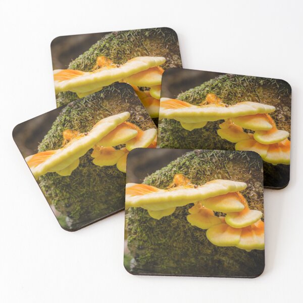 Item preview, Chicken of the Woods 2 designed and sold by Robert Alsop.