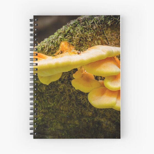 Item preview, Chicken of the Woods 2 designed and sold by Robert Alsop.