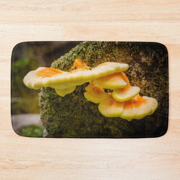 Item preview, Chicken of the Woods 2 designed and sold by Robert Alsop.