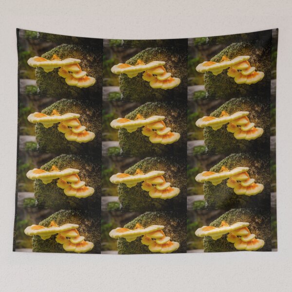 Item preview, Chicken of the Woods 2 designed and sold by Robert Alsop.