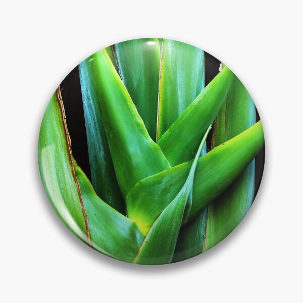 Item preview, Palm frond designed and sold by Thaddeus Zajdowicz.