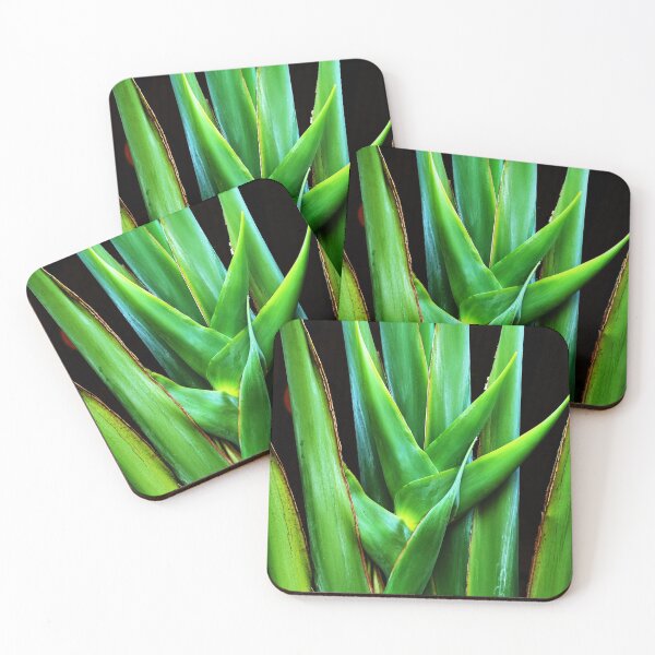 Item preview, Palm frond designed and sold by Thaddeus Zajdowicz.
