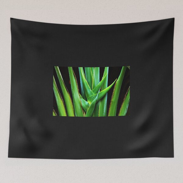 Item preview, Palm frond designed and sold by Thaddeus Zajdowicz.