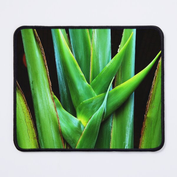 Item preview, Palm frond designed and sold by Thaddeus Zajdowicz.