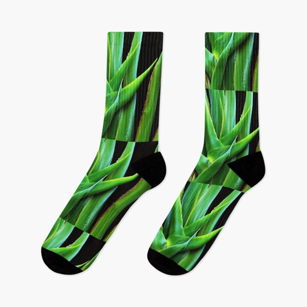 Item preview, Palm frond designed and sold by Thaddeus Zajdowicz.