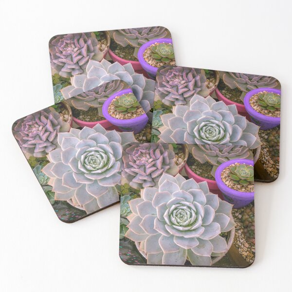 Item preview, Succulent Life designed and sold by Cat Calhoun.