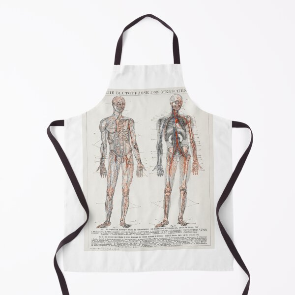 Item preview, Die Blutgefasse Des Menschen (1898) an antique lithograph of the human blood vessels and cardiovascular system. Digitally enhanced from the original plate. designed and sold by Vividy.
