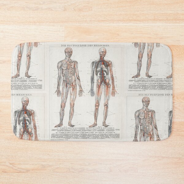 Item preview, Die Blutgefasse Des Menschen (1898) an antique lithograph of the human blood vessels and cardiovascular system. Digitally enhanced from the original plate. designed and sold by Vividy.