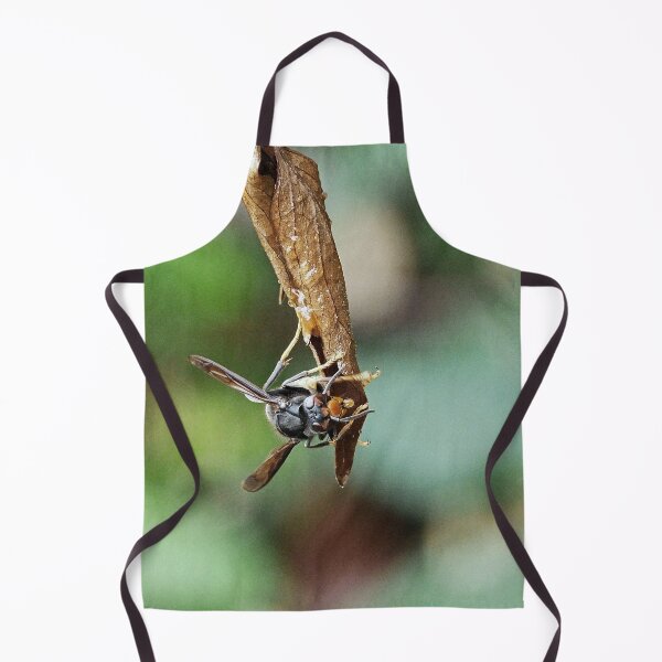 Item preview, r1011 / New Finition 2021- Un Frelon Gourmand en équilibre ! (c)(h) Olavia-Olao Okaio Créations designed and sold by o.okaïo.