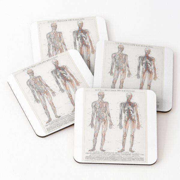 Item preview, Die Blutgefasse Des Menschen (1898) an antique lithograph of the human blood vessels and cardiovascular system. Digitally enhanced from the original plate. designed and sold by Vividy.