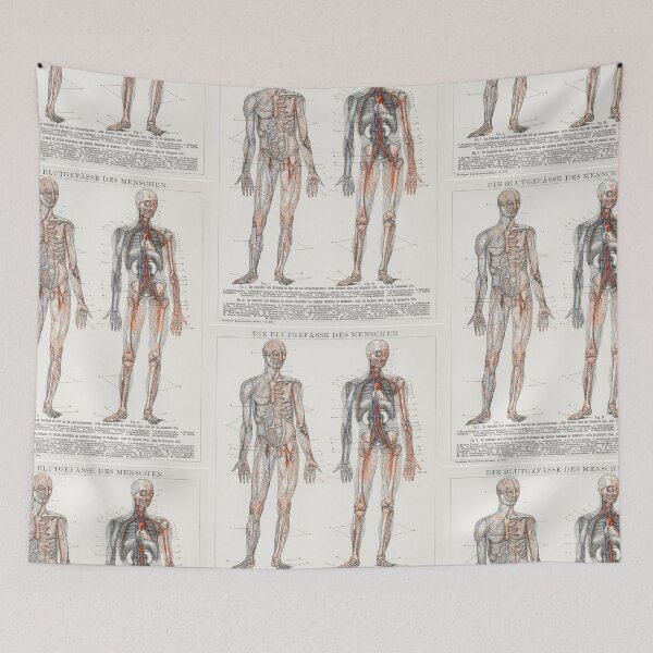 Item preview, Die Blutgefasse Des Menschen (1898) an antique lithograph of the human blood vessels and cardiovascular system. Digitally enhanced from the original plate. designed and sold by Vividy.
