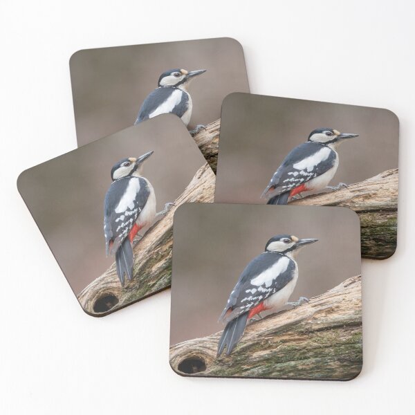 Item preview, Great Spotted Woodpecker #2 designed and sold by Dominika Aniola.