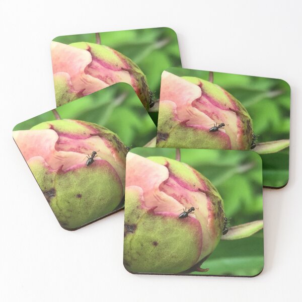 Item preview, Ants On A Peony Bud designed and sold by SaraMargolis.