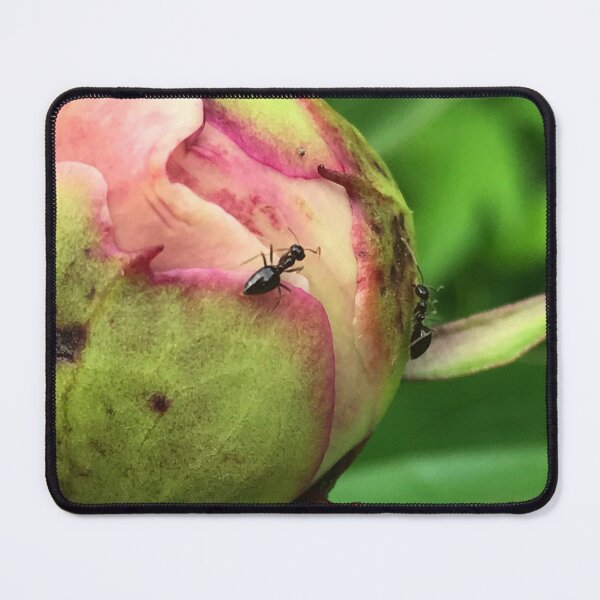 Item preview, Ants On A Peony Bud designed and sold by SaraMargolis.
