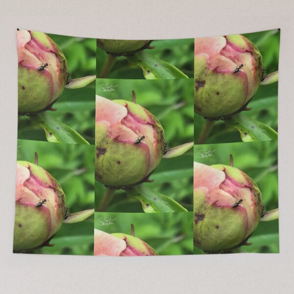 Item preview, Ants On A Peony Bud designed and sold by SaraMargolis.
