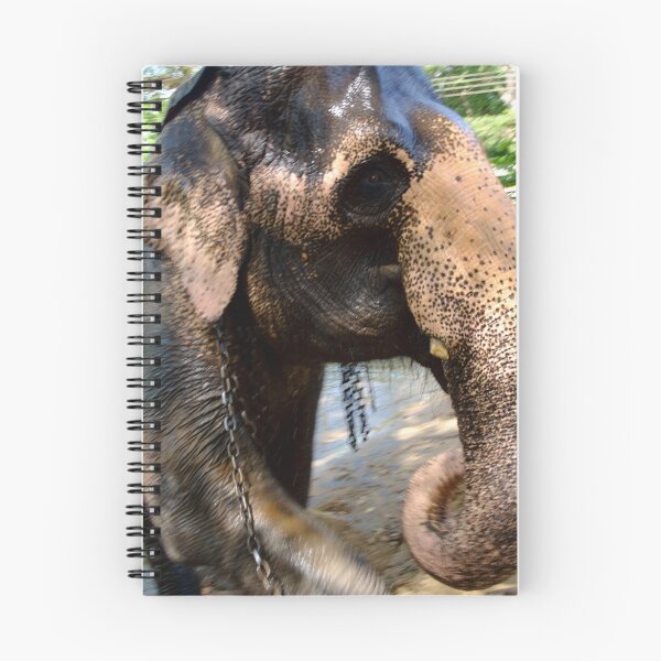 Item preview, Dont forget designed and sold by georgeph.