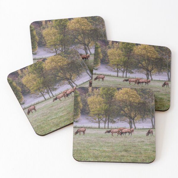 Item preview, Elk Family Grazing designed and sold by mljdwhite.