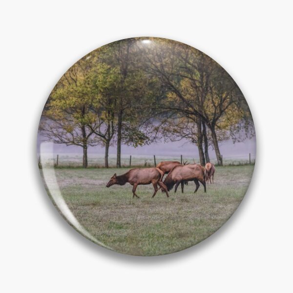 Item preview, Elk Family Grazing designed and sold by mljdwhite.