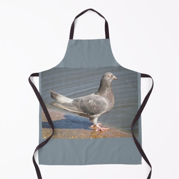 Item preview, Pigeon at the Waters Edge Photograph designed and sold by naturegallery.