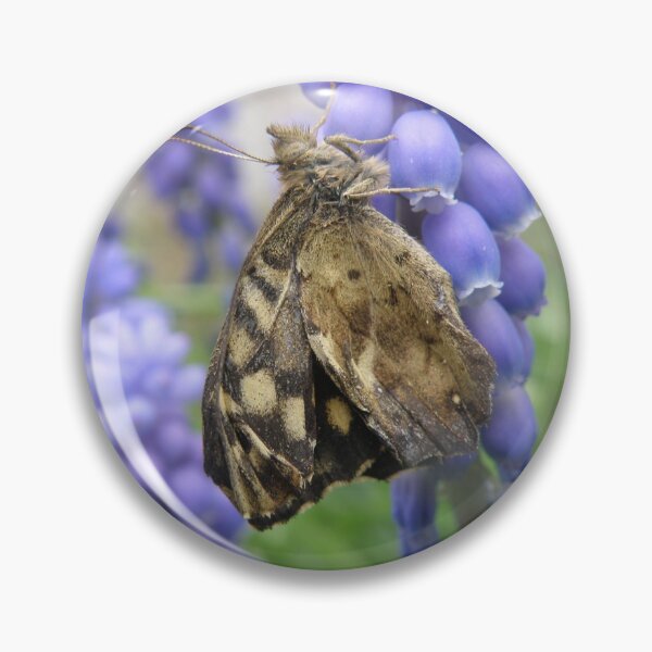 Item preview, Pretty Brown Butterfly and Muscari Flowers Macro Photograph designed and sold by naturegallery.