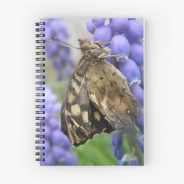 Item preview, Pretty Brown Butterfly and Muscari Flowers Macro Photograph designed and sold by naturegallery.