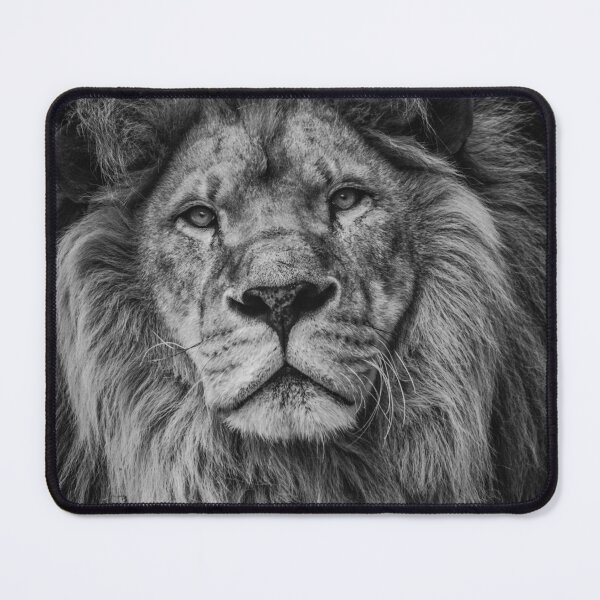 Item preview, Fierce Lion designed and sold by newburyboutique.