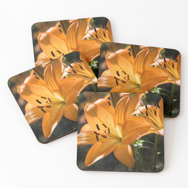 Item preview, Lillies designed and sold by Jean Fry.