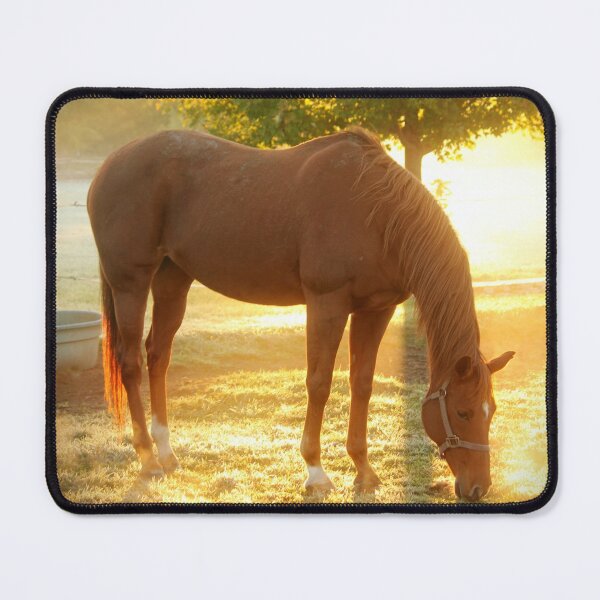 Item preview, Beautiful Brown Horse designed and sold by newburyboutique.