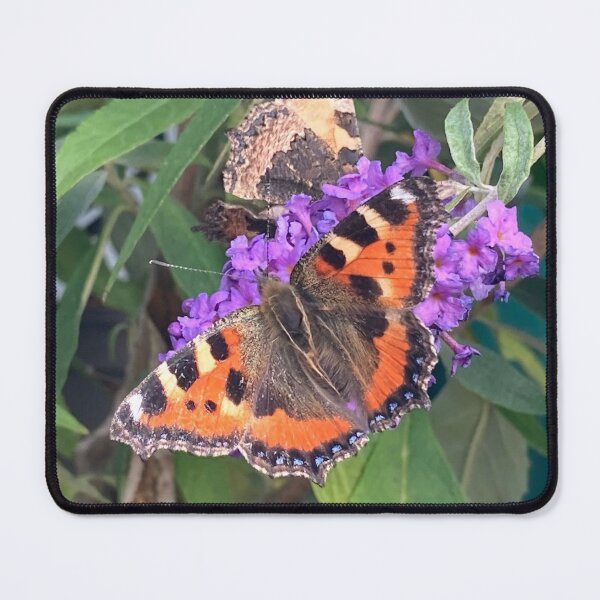 Butterfly on Buddleia Mouse Pad