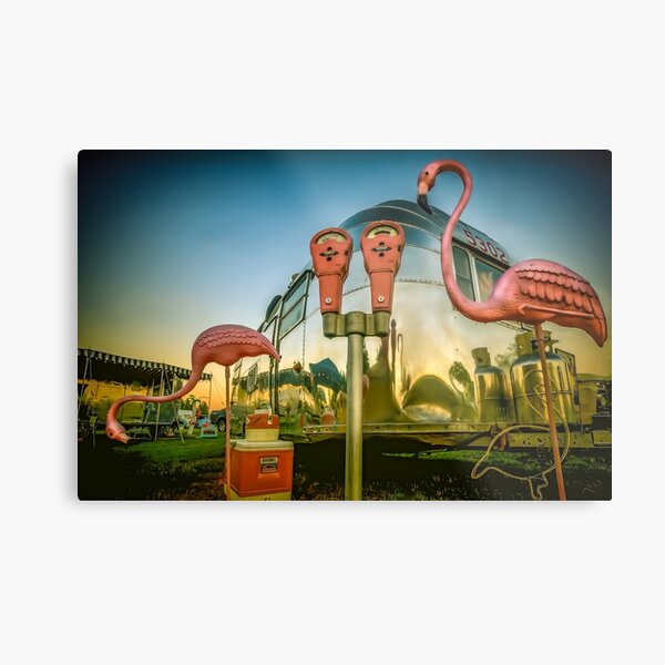 Morning Watch Metal Print