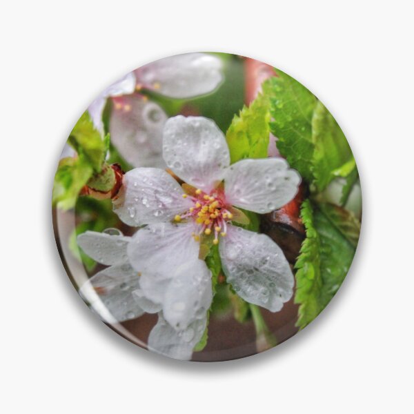 Artikelvorschau, Kirschblüten im Regen entworfen und verkauft von Hazel Hall.