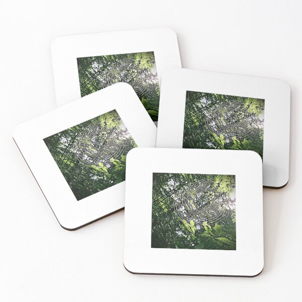 Item preview, Spider Web designed and sold by Matthew Carroll.