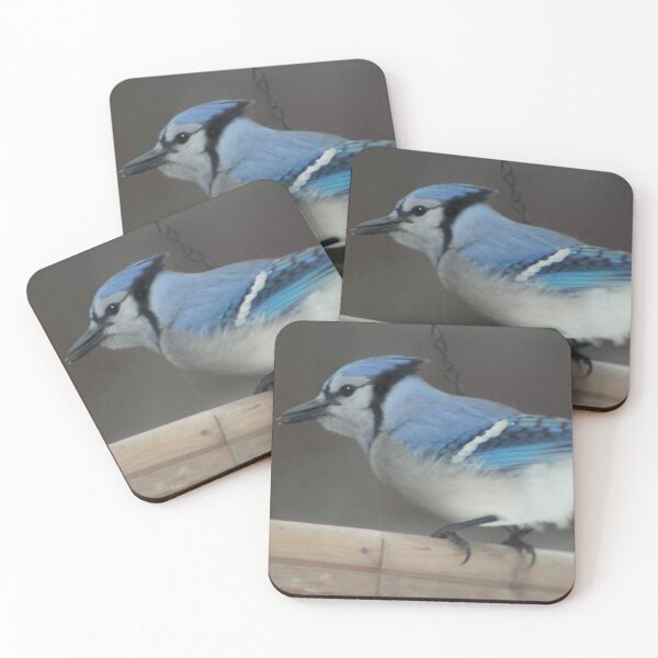 Item preview, Blue Jay designed and sold by Hazel Hall.