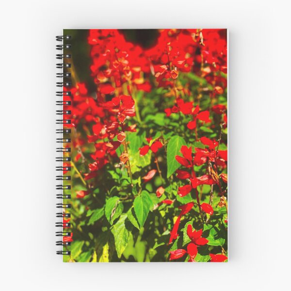 Item preview, Rojos vibrantes de la salvia escarlata designed and sold by Only4sometimes.