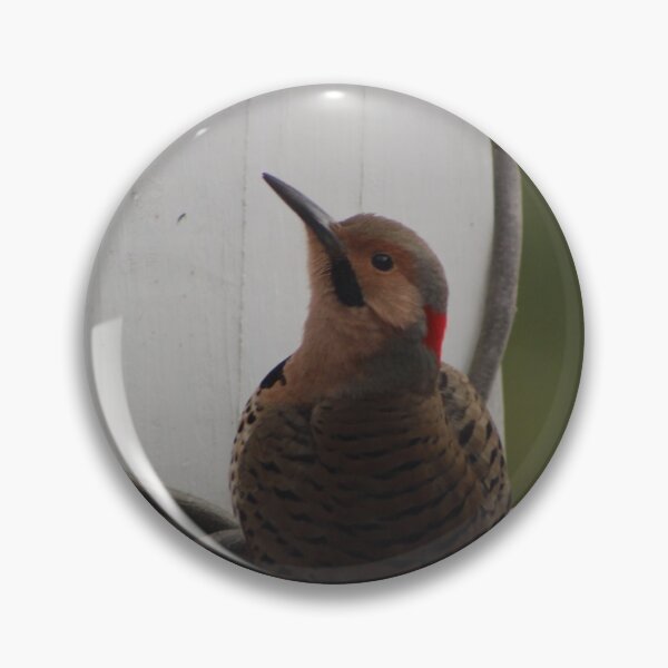 Item preview, Northern Flicker Wild Bird designed and sold by Hazel Hall.
