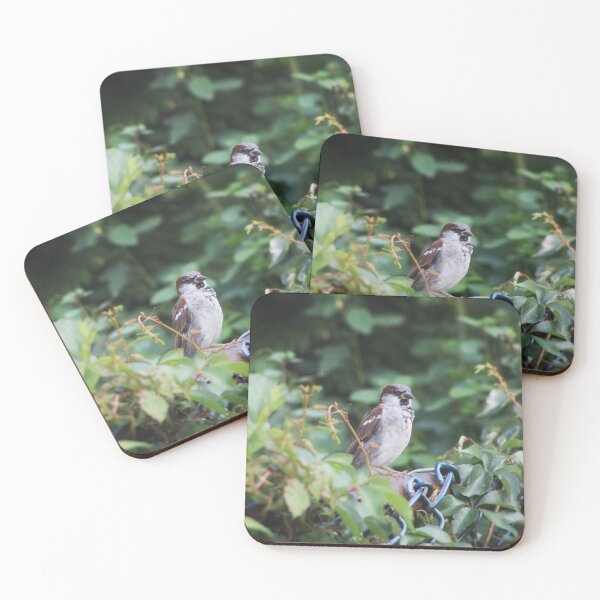 Item preview, House Sparrow designed and sold by Hazel Hall.