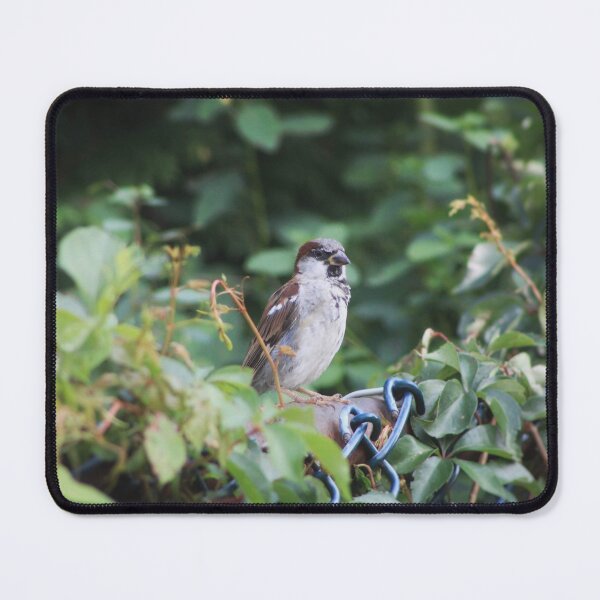 Item preview, House Sparrow designed and sold by Hazel Hall.