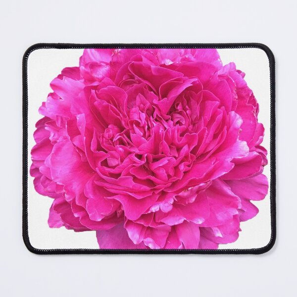 Item preview, Bright Pink Peony in Full Bloom designed and sold by InalterataArt.